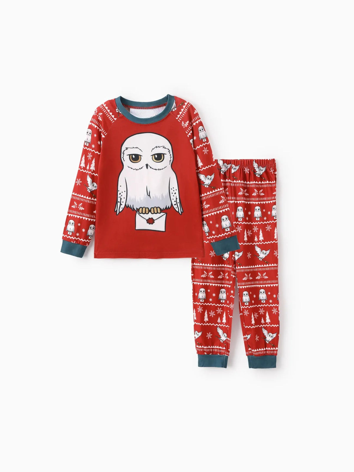 Harry Potter Family Christmas Owl Design Pajama Set